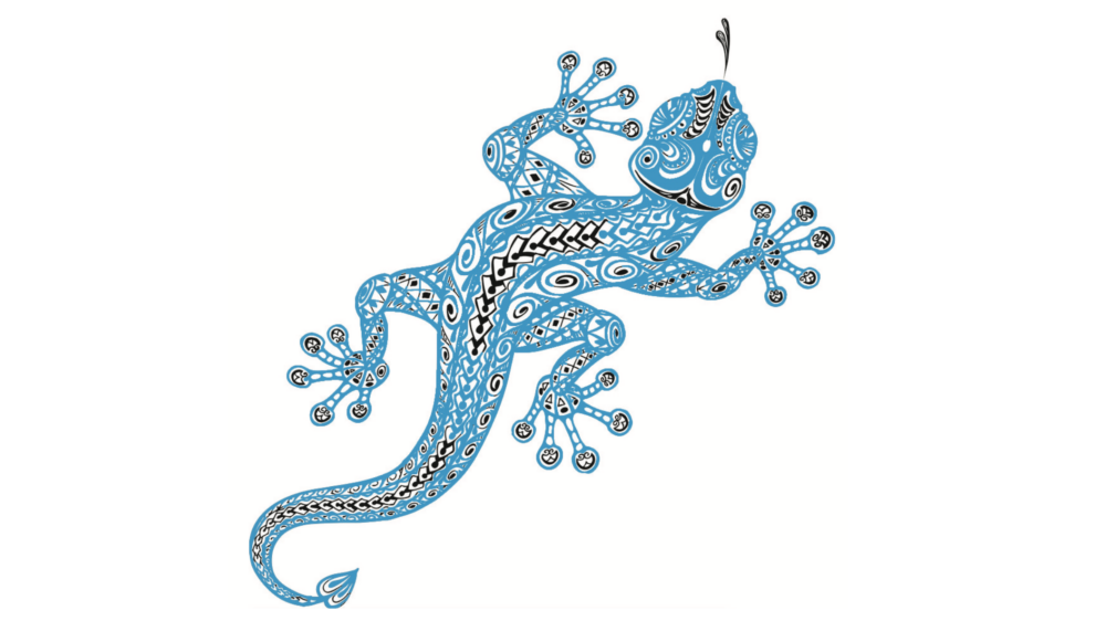 Gecko – australische Yoga-Inspirationen