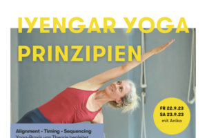 Iyengar Yoga Prinzipien – Alignment, Timing, Sequencing